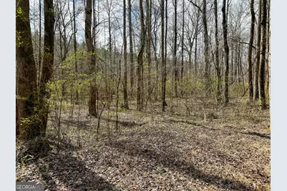 90 +/- Acres English Road, Forsyth, GA 31029 - Photo 35