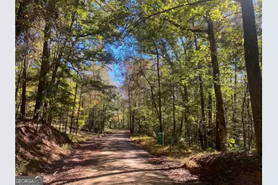 90 +/- Acres English Road, Forsyth, GA 31029 - Photo 9