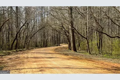 90 +/- Acres English Road, Forsyth, GA 31029 - Photo 37