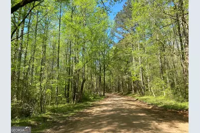 90 +/- Acres English Road, Forsyth, GA 31029 - Photo 11