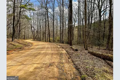 90 +/- Acres English Road, Forsyth, GA 31029 - Photo 33