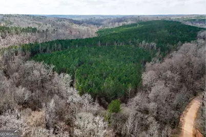 90 +/- Acres English Road, Forsyth, GA 31029 - Photo 23