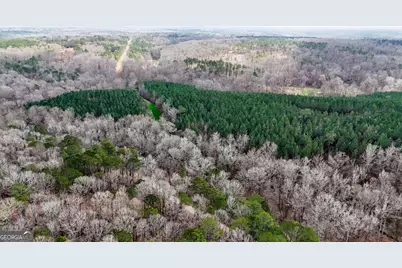 90 +/- Acres English Road, Forsyth, GA 31029 - Photo 17