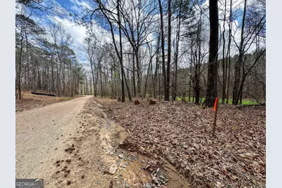 90 +/- Acres English Road, Forsyth, GA 31029 - Photo 31
