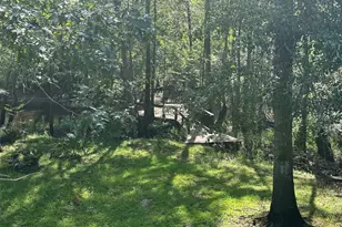 4980 Coleman Bridge Spur, Cobbtown, GA 30420 - Photo 3