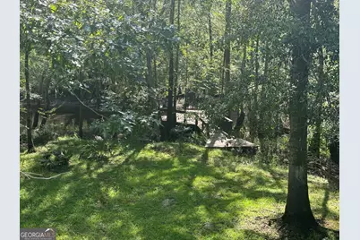 4980 Coleman Bridge Spur, Cobbtown, GA 30420 - Photo 9
