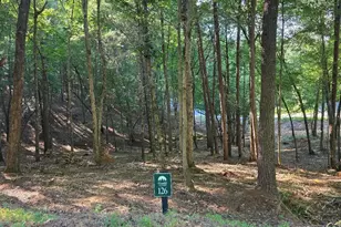 126R Red Oak Trail, East Ellijay, GA 30540 - Photo 1