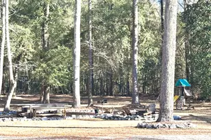 326 Turkey Run, Dublin, GA 31021 - Photo 27