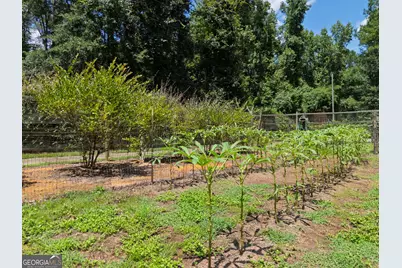 1638 Old Minor Road, Culloden, GA 31016 - Photo 119