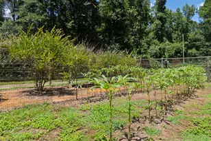 1638 Old Minor Rd, Culloden, GA 31016 - Photo 119