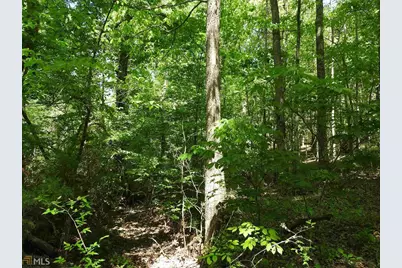 0 Griffin Road #5007-PARCEL 4, Cartersville, GA 30120 - Photo 5