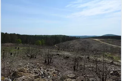0 Griffin Road #5007-PARCEL 4, Cartersville, GA 30120 - Photo 13