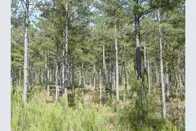 0 Griffin Road #5007-PARCEL 4, Cartersville, GA 30120 - Photo 23