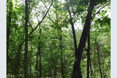 0 Griffin Road #5007-PARCEL 2, Cartersville, GA 30120 - Photo 21