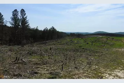 0 Griffin Road #5007-PARCEL 2, Cartersville, GA 30120 - Photo 9