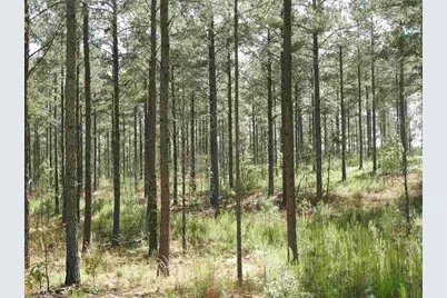 0 Griffin Road #5007-PARCEL 1, Cartersville, GA 30120 - Photo 25