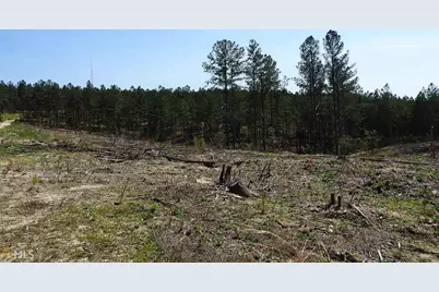 0 Griffin Road #5007-PARCEL 1, Cartersville, GA 30120 - Photo 7