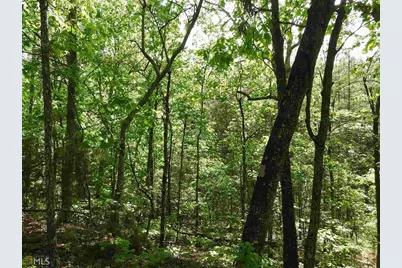 0 Griffin Road #5007-PARCEL 1, Cartersville, GA 30120 - Photo 19