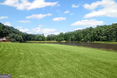 833 Hines Road, Moreland, GA 30259 - Photo 89