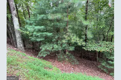 167 Tara Drive, Ellijay, GA 30540 - Photo 9