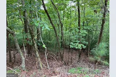 167 Tara Drive, Ellijay, GA 30540 - Photo 3