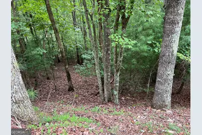 167 Tara Drive, Ellijay, GA 30540 - Photo 1