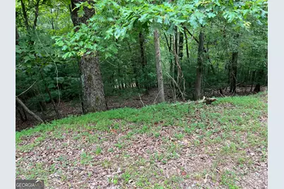 167 Tara Drive, Ellijay, GA 30540 - Photo 7