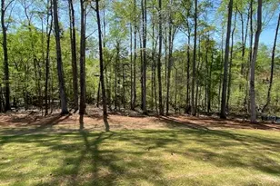 Lot 170 Snug Harbor Pl, Newnan, GA 30263 - Photo 31
