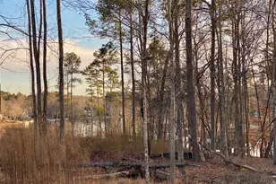 Lot 170 Snug Harbor Pl, Newnan, GA 30263 - Photo 29