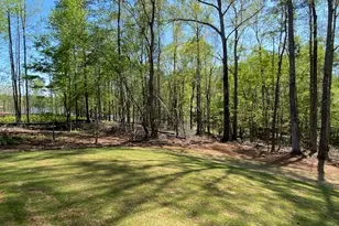 Lot 170 Snug Harbor Pl, Newnan, GA 30263 - Photo 29