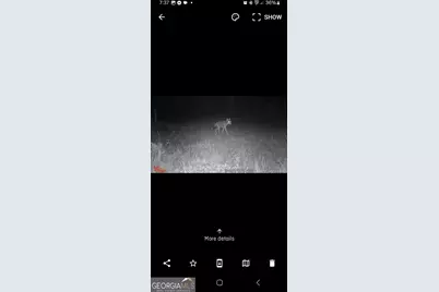 1396 Grant Rowe Road B, Dublin, GA 31021 - Photo 11