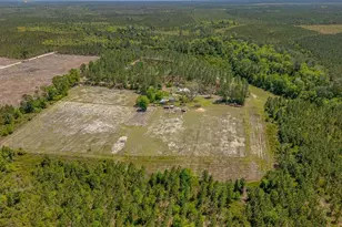 88 Minnesota Rd, Screven, GA 31560 - Photo 35