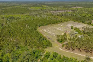 88 Minnesota Rd, Screven, GA 31560 - Photo 31