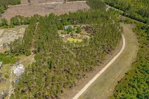 88 Minnesota Rd, Screven, GA 31560 - Photo 41