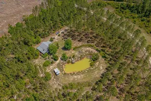 88 Minnesota Rd, Screven, GA 31560 - Photo 1