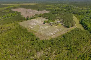 88 Minnesota Rd, Screven, GA 31560 - Photo 33