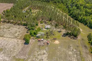 88 Minnesota Rd, Screven, GA 31560 - Photo 37