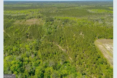 88 Minnesota Road, Screven, GA 31560 - Photo 43