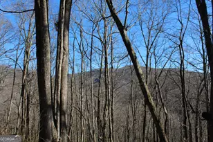 Tract B Highland Cove, Hayesville, NC 28904 - Photo 5