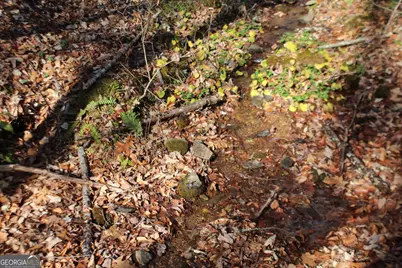 Tract B Highland Cove, Hayesville, NC 28904 - Photo 9