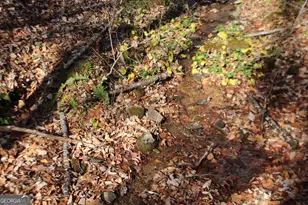 Tract B Highland Cove, Hayesville, NC 28904 - Photo 9