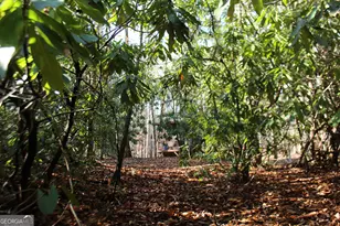 Tract B Highland Cove, Hayesville, NC 28904 - Photo 13