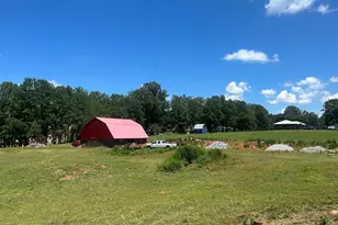 4039 Hwy 19 N, Dahlonega, GA 30533 - Photo 5