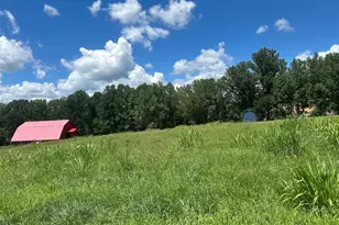 4039 Hwy 19 N, Dahlonega, GA 30533 - Photo 59