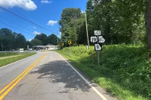 4039 Hwy 19 N, Dahlonega, GA 30533 - Photo 55