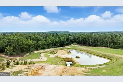 955 Anna Poole Road, Sparta, GA 31087 - Photo 87