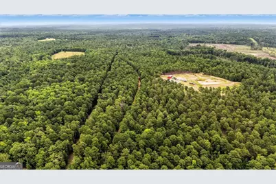 955 Anna Poole Road, Sparta, GA 31087 - Photo 75