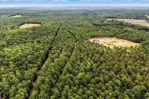 955 Anna Poole Rd, Sparta, GA 31087 - Photo 75