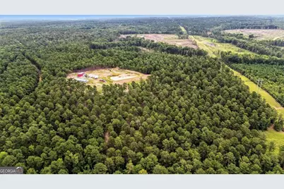 955 Anna Poole Road, Sparta, GA 31087 - Photo 57