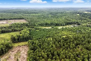 955 Anna Poole Rd, Sparta, GA 31087 - Photo 65